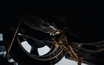 Milpitas, CA – How Can A Honda Oil Leak Lead To Serious Engine Damage Fast?
